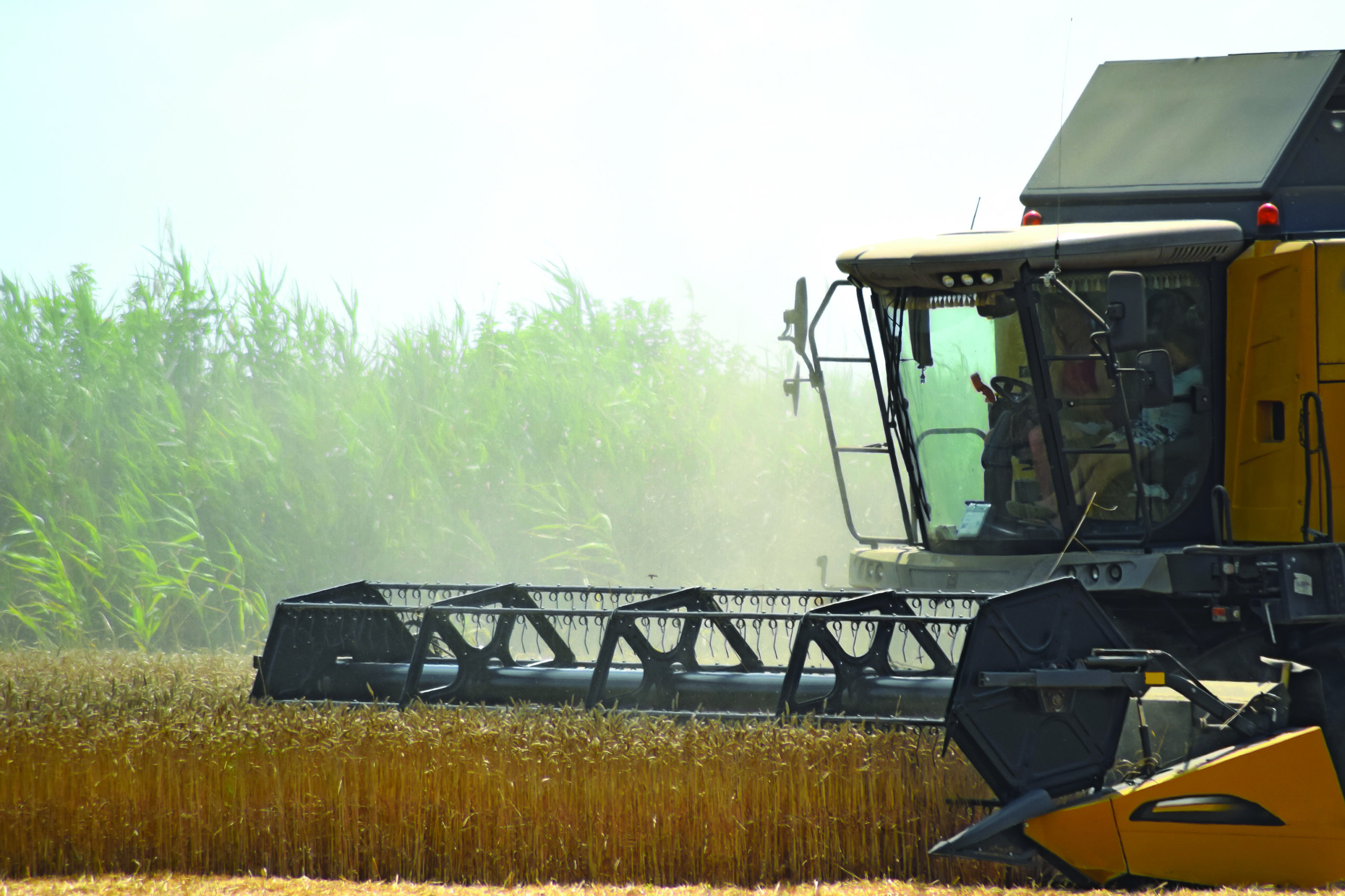 Ag Production / Farm & Ranch Management