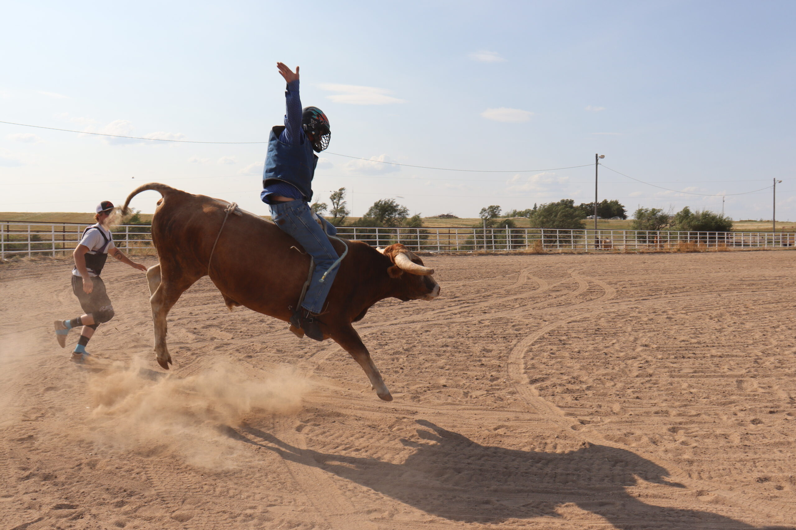 Tyler Bauer rides a bull during rodeo roughstock practice on Sept. 28. [Photo by Lance Ziesch]