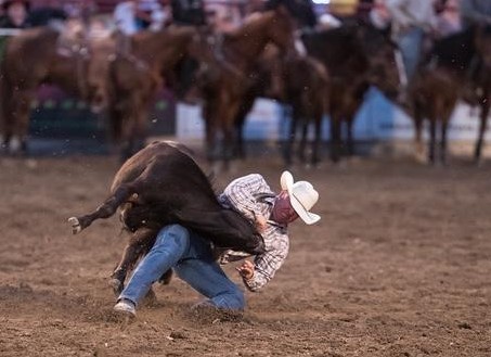 Gabe Burrows, DC3 Rodeo Coach competes in the steer wrestle